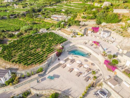 an aerial view of a vineyard with a pool at Tenuta C'est la Vie in Ischia