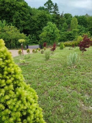 a garden with a field of grass and trees at ROZTOCZE, Domek Na Leśnym Wzgórzu, Zwierzyniec, Krasnobród,Zamość in AdamÃ³w