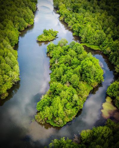 an aerial view of a river in a forest at Geo Palace Kolkheti National Park in Poti
