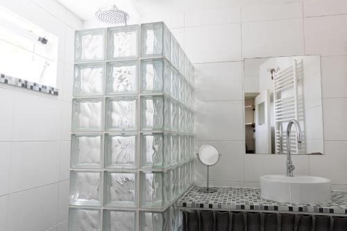 ein Badezimmer mit einer Glasblock-Wand neben einem Waschbecken in der Unterkunft Museumhuisje 013 in Tilburg