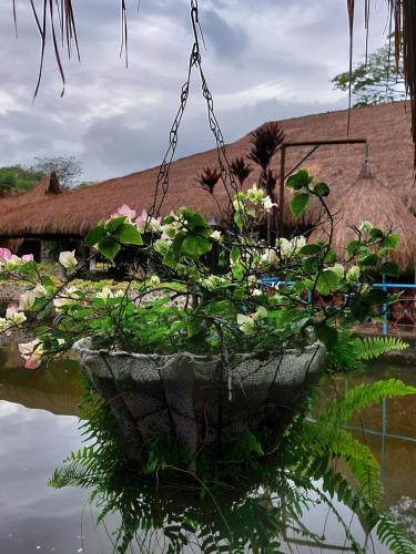 a hanging flower pot with plants in it at Hotel Campestre San Joaquin in Garzón