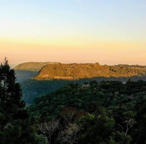 a view of a hill with trees and a mountain at Cabana dos Alpes in Canela