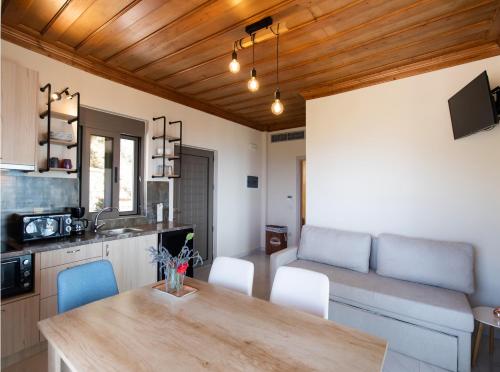 a kitchen and living room with a wooden ceiling at MELIKIRON LUXURY APARTMENTS in Agios Nikitas