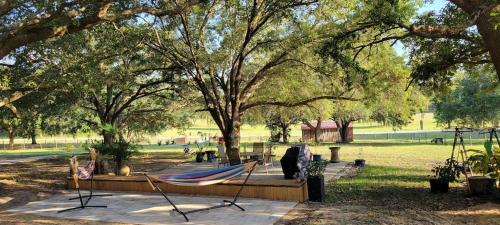 a hammock in a park under a tree at Charming Country Retreat Home in Clermont