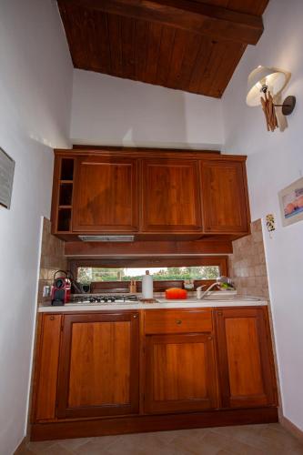 a kitchen with wooden cabinets and a sink at Agriturismo L'Istrice di Giò in Montalto di Castro