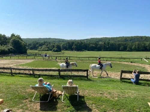 people sitting in chairs watching people riding horses in a field at Kerca Bio Farm in Kercaszomor