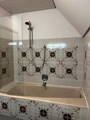 a bath tub with a shower in a bathroom at Zuid Haffel in Den Burg
