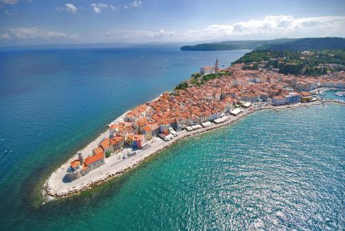 Příroda nedaleko apartmánu