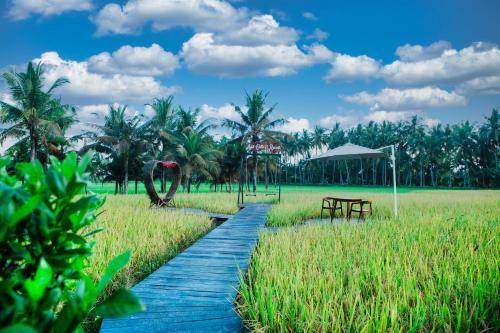 a wooden pathway through a field with palm trees at Adil Villa & Resort in Ubud