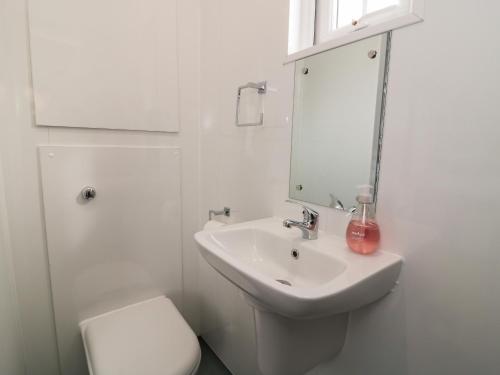 a bathroom with a sink and a toilet and a mirror at Bo Peep's Shepherdess Hut in Hull