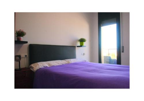een slaapkamer met een bed met paarse lakens en een raam bij Lo Mirador del Passador in Sant Jaume d'Enveja