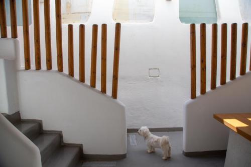 Φωτογραφία από το άλμπουμ του Glykeria Mini Suites στον Περίβολο