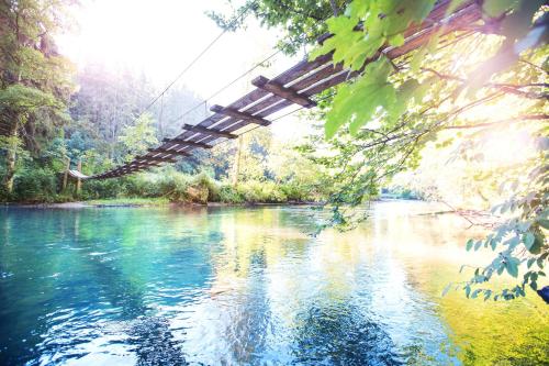 un puente colgante sobre un río en un bosque en Gasthof zum Hirsch en Görisried