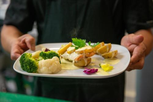 Comida en el hotel o alrededores