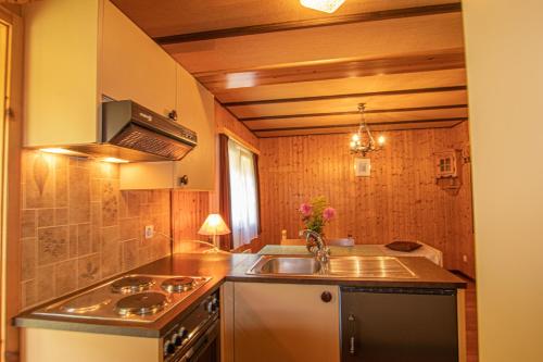 eine kleine Küche mit einer Spüle und einem Herd in der Unterkunft Residenz Edelweiss SAAS310 in Saas-Balen