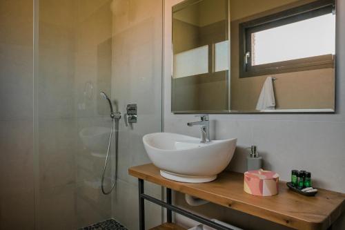 a bathroom with a sink and a mirror and a shower at SOUND OF SEA Villas in Lixouri