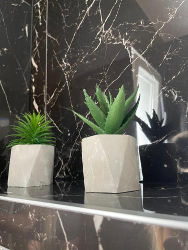 a couple of plants sitting on a shelf at Elite rooms Split - FREE PARKING in Split