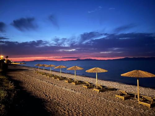 a row of umbrellas on a beach with the ocean at Ixia Dream hotel - Adults only in Ixia