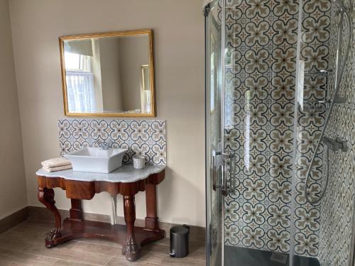 ein Bad mit einem Waschbecken und einer Dusche mit einem Spiegel in der Unterkunft Inver in Cobh