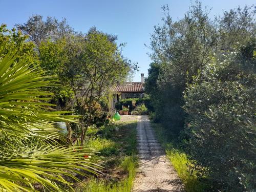 a garden with a path leading to a house at La ReStanza in Pula