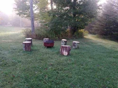 a group of tree stumps sitting in the grass at Hibernation Haven in McHenry