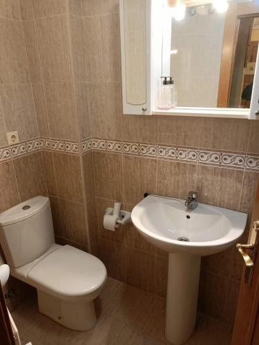 a bathroom with a toilet and a sink and a mirror at Apartamento Jardin del Sueve in Colunga