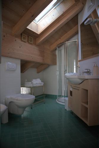 a bathroom with a toilet and a sink and a shower at B&B Casa Riz in Castello di Fiemme