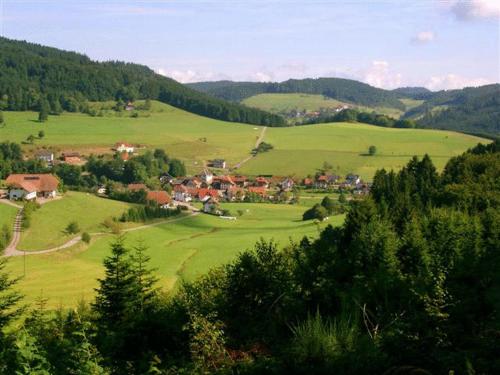 a small village in a green field with trees at Hirschen-Dorfmühle in Biederbach Baden-Württemberg