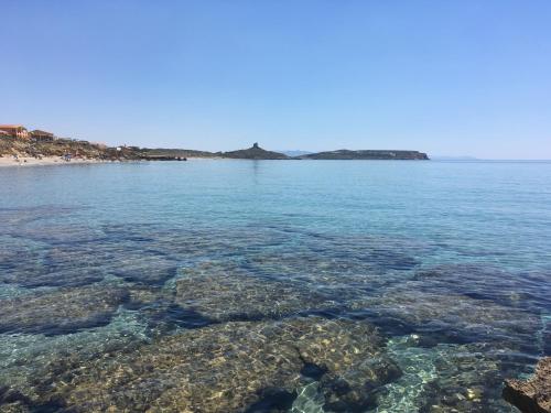 Φυσικό τοπίο κοντά σε αυτό το διαμέρισμα