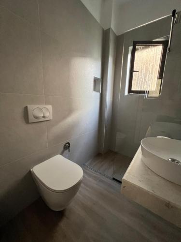 a bathroom with a white toilet and a sink at Red Rose Guest House in Golem
