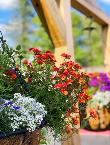 a bunch of colorful flowers in a garden at Homestead Inn - Blowing Rock in Blowing Rock