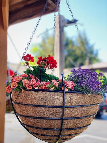 a hanging flower basket with flowers in it at Homestead Inn - Blowing Rock in Blowing Rock