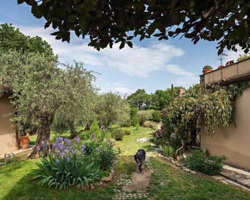 Κήπος έξω από το I Glicini Appartamento