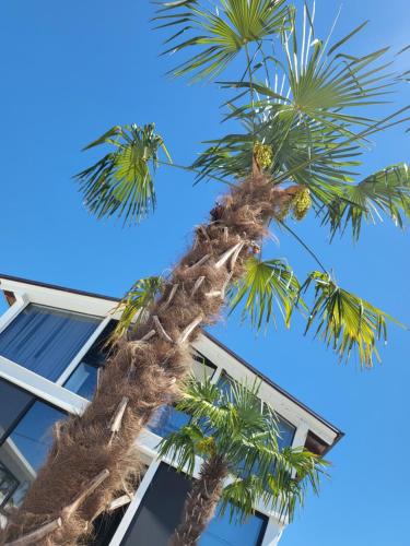 Φωτογραφία από το άλμπουμ του Isea Wood Villa σε Rrushkull