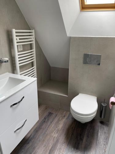 une salle de bain avec toilettes et lavabo dans l'établissement Le 33 le Haut, à Belfort