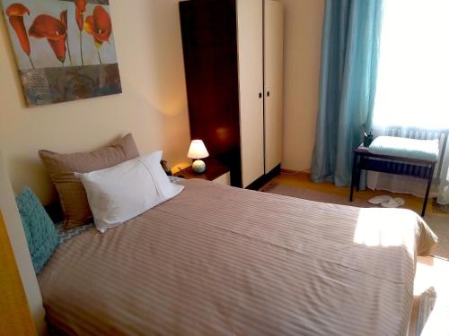 a bedroom with a large bed and a window at Sandrea I Apartment in Subotica