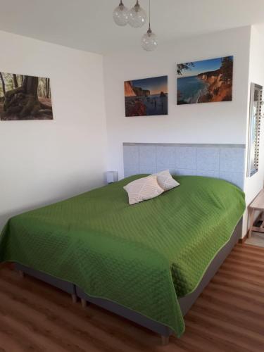 a bedroom with a green bed in a room at Ferienwohnungen Rügen-Glück in Lohme
