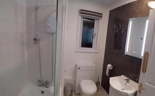 a bathroom with a shower and a toilet and a sink at Gynack Villa in Kingussie