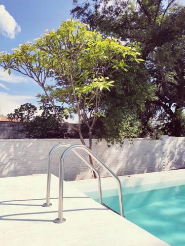 a small tree next to a swimming pool at Casa Mango amplia con alberca y cerca de la Media Luna !!! in Río Verde