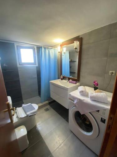 a bathroom with a toilet sink and a washing machine at LYDIA'S APARTMENT in Lixouri