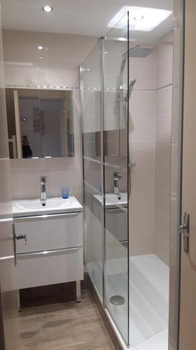 une salle de bain avec une douche en verre et un lavabo dans l'établissement le studio du lac, aux Salles-sur-Verdon