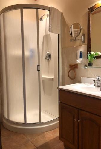 a bathroom with a shower and a sink at Auberge Presbytere Mont Lac-Vert in Hébertville