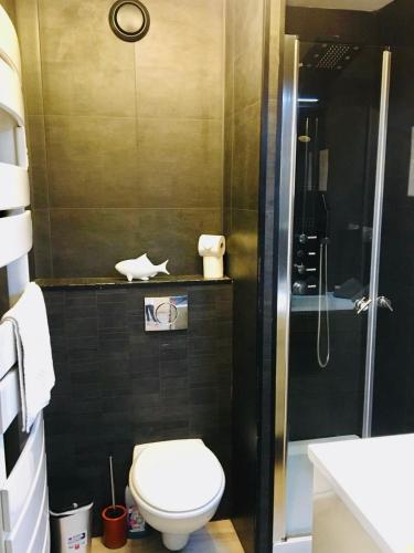 une petite salle de bain avec toilettes et douche dans l'établissement ''559 Cap corniche'' T2 en résidence front de mer!, à Sète