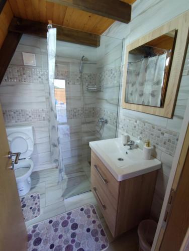 a bathroom with a shower and a sink and a toilet at Villa Dream House Bihac in Bihać