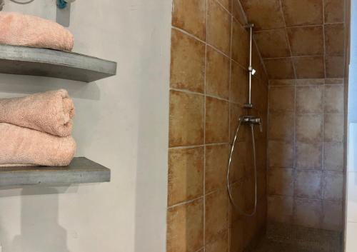 a bathroom with a shower with a shower head at Près du Vieux port Studio terrasse vue dégagée église de Saint Jean in Bastia