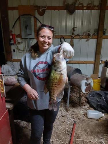 Truman Lake Getaway Overflow – Photos 4
