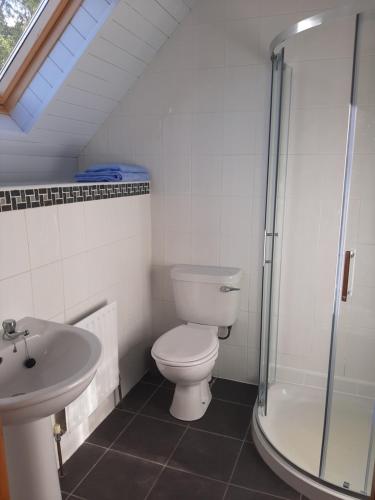a bathroom with a toilet and a sink and a shower at Traditional Cosy Cottage with beautiful views in Westport