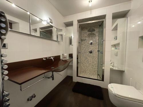 a bathroom with a shower and a toilet at Lake Como Villa Ines Apartment in Faggeto Lario 