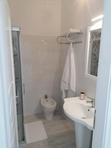 a white bathroom with a shower and a sink at Daniela in Policastro Bussentino