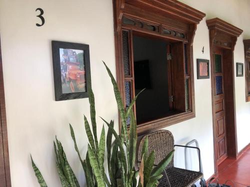 a plant sitting next to a wall with a mirror at Finca Hotel Brasilia in La Tebaida